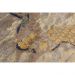 Tapete para Sala Detalhe Rachado Marrom-Bege 1,50X2,00M