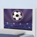 Bicama Juvenil Adesivada Futebol Estádio com Colchões