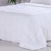 Edredom Queen Toque de Plumas 260 Fios New 220x240cm Branco