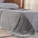 Edredom Solteiro Plush Sense Dupla Face 100% Poliéster 160x220cm Platina