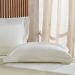 Jogo de Cama Queen 4 Pçs Ricamo 300 Fios 100% Algodão 160x200x40cm Salvia
