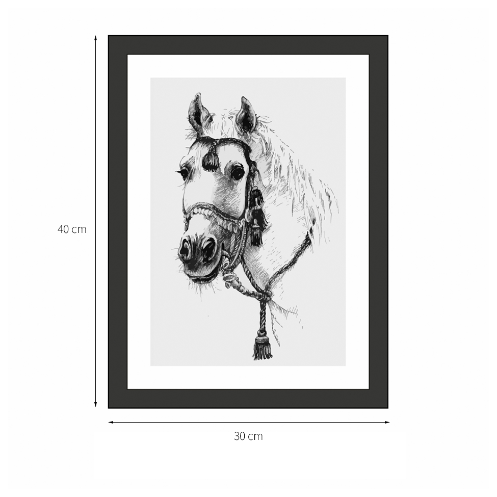 Quadro Decorativo com Moldura Cavalo II Preto