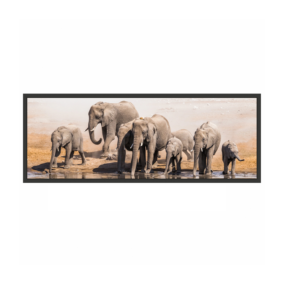 Quadro Decorativo com Moldura Elefante Preto