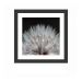Quadro Decorativo com Moldura Floral II Preto 30x30 cm