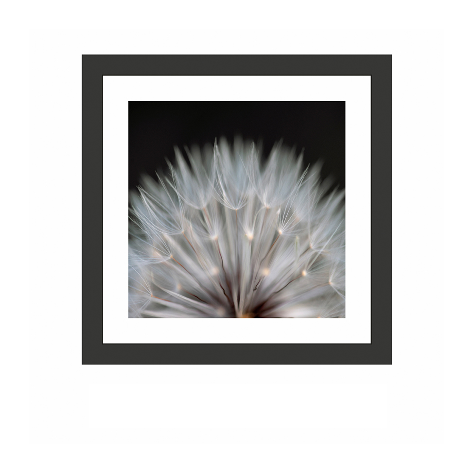 Quadro Decorativo com Moldura Floral II Preto 30x30 cm