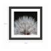 Quadro Decorativo com Moldura Floral II Preto 30x30 cm