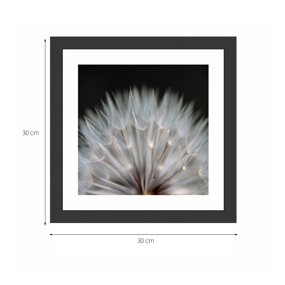 Quadro Decorativo com Moldura Floral II Preto 30x30 cm