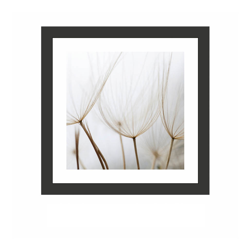 Quadro Decorativo com Moldura Floral III Preto 30x30 cm