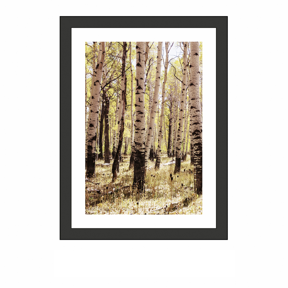 Quadro Decorativo com Moldura Floresta I Preto