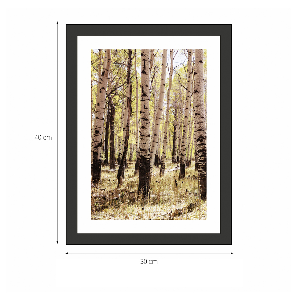 Quadro Decorativo com Moldura Floresta I Preto