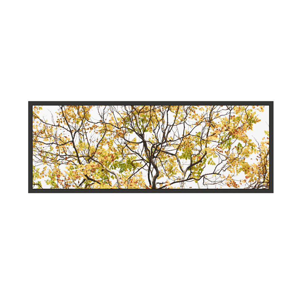Quadro Decorativo com Moldura Galhos I Preto