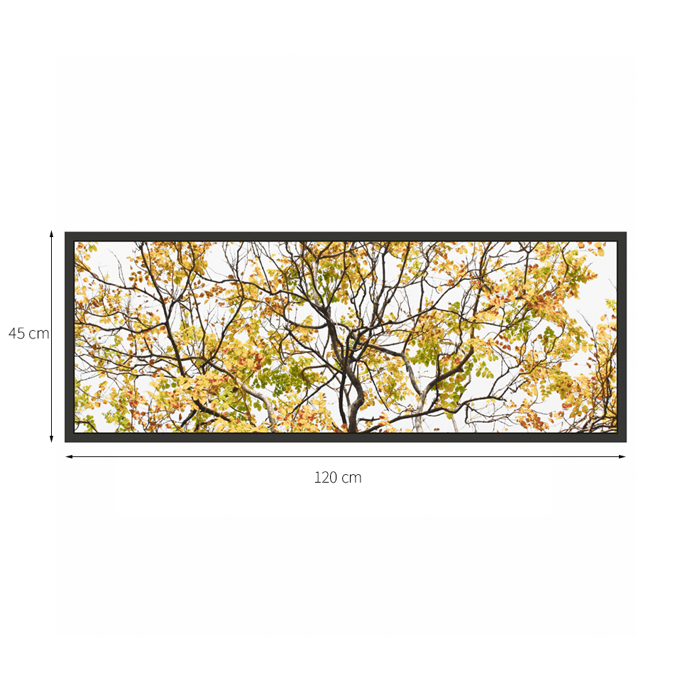 Quadro Decorativo com Moldura Galhos I Preto
