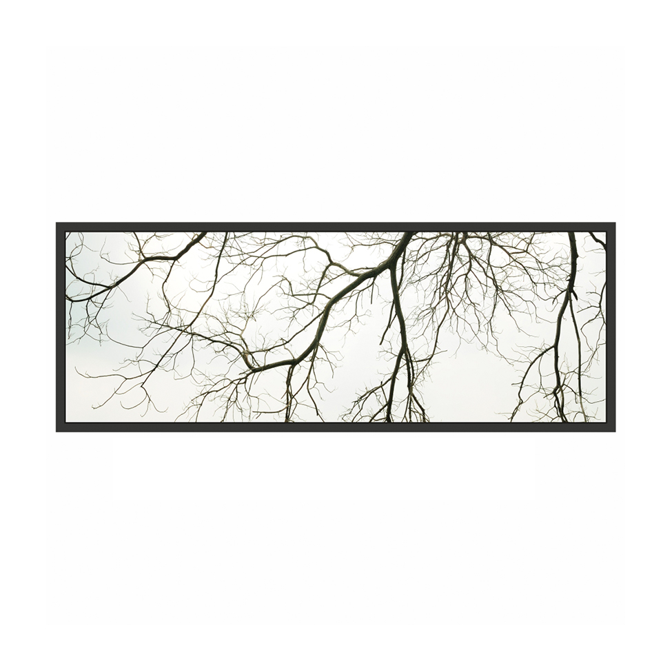 Quadro Decorativo com Moldura Galhos II Preto
