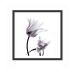 Quadro Decorativo com Moldura Orq Preto