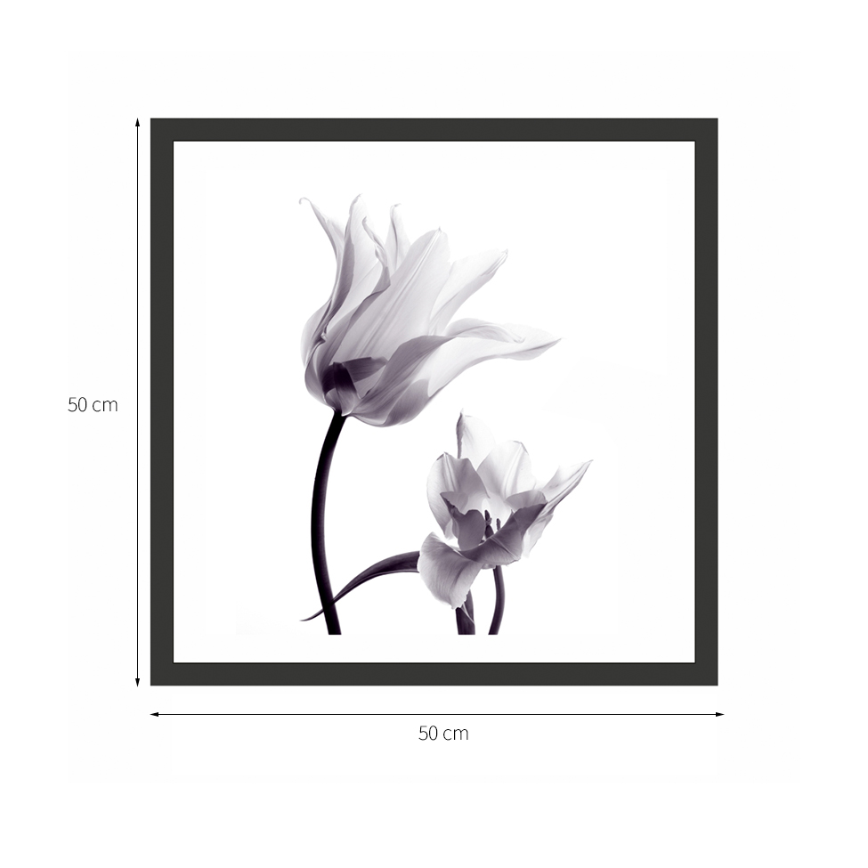 Quadro Decorativo com Moldura Orq Preto