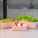 4 Potes Plásticos Uz Rosa Retangulares 3 Litros Mantimentos Organizador Alimentos Multiuso