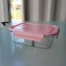 Kit 2 Marmitas de Vidro com Divisória 1L Rosa Pote Hermético