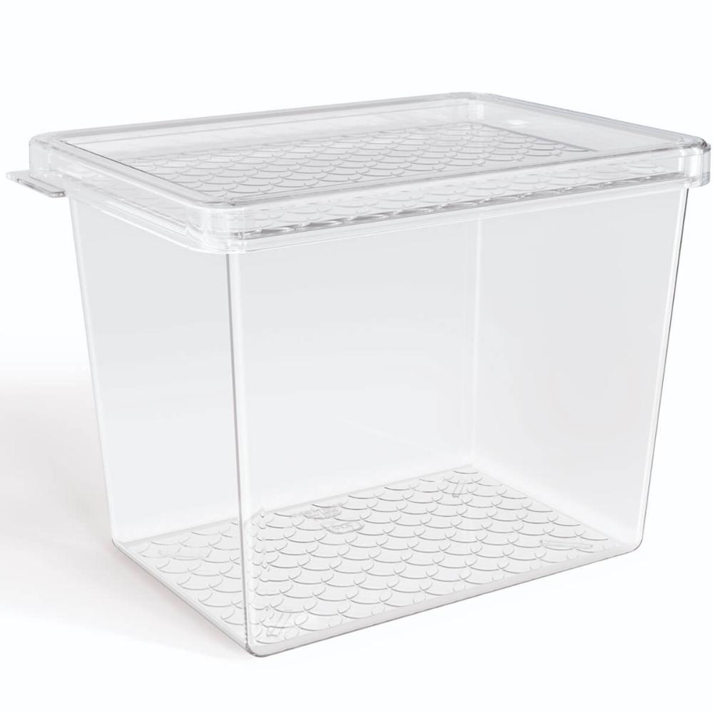 Organizador de Geladeira Multiuso Cozinha 1,3L com Tampa Transparente Frutas Verduras UZ