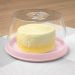 Queijeira Porta Queijo Frios Tampa Acrílico Transparente Uz Rosa Quartzo