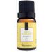 Essência Aromatizante para Aromatizador Elétrico Via Aroma 10ml Limão Siciliano