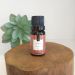 Essência Para Aromatizador Elétrico 10ml Via Aroma Canela