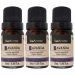 Kit 3 Óleos Essencial para Aromatizador 100% Natural Via Aroma 10ml Lavanda