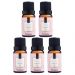 Kit 5 Essência Peônia Garden Via Aroma 10ml cada para Aromatizador Elétrico