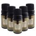 Kit 5 Essências Aromatizantes Alecrim Silvestre 10ml para Aromatizador Elétrico Via Aroma