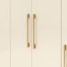 Guarda-Roupa Casal 6 Portas 6 Gavetas 100% MDF Espelho Cadence Nature/Champagne
