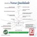 Ventilador Volare Dourado Imbuia Bz Vd42 Tami S3