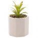 Cachepot de Cimento com Suculenta Artificial Branco 10x14cm