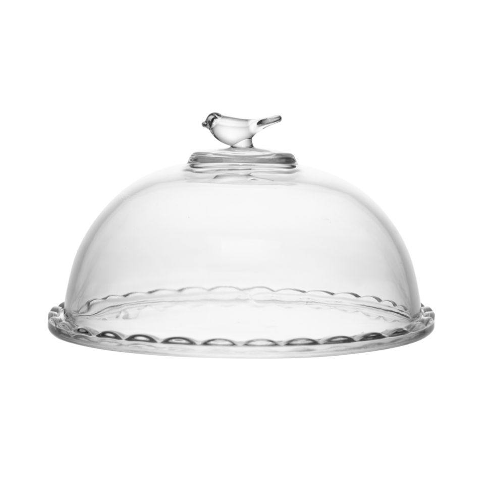 Queijeira Bird Transparente