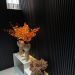Painel Ripado Wpc Interno Wave Cor: Preto 2,90m x 14cm (0,406m²)