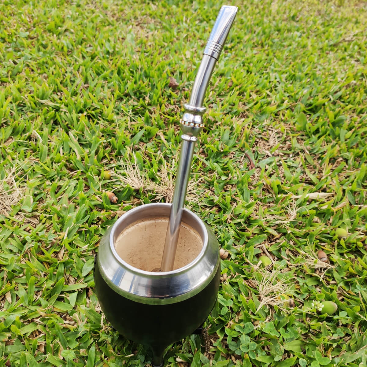 Bomba Chimarrão Inox Com Strass 23cm Bojo Tradicional Com Rosca