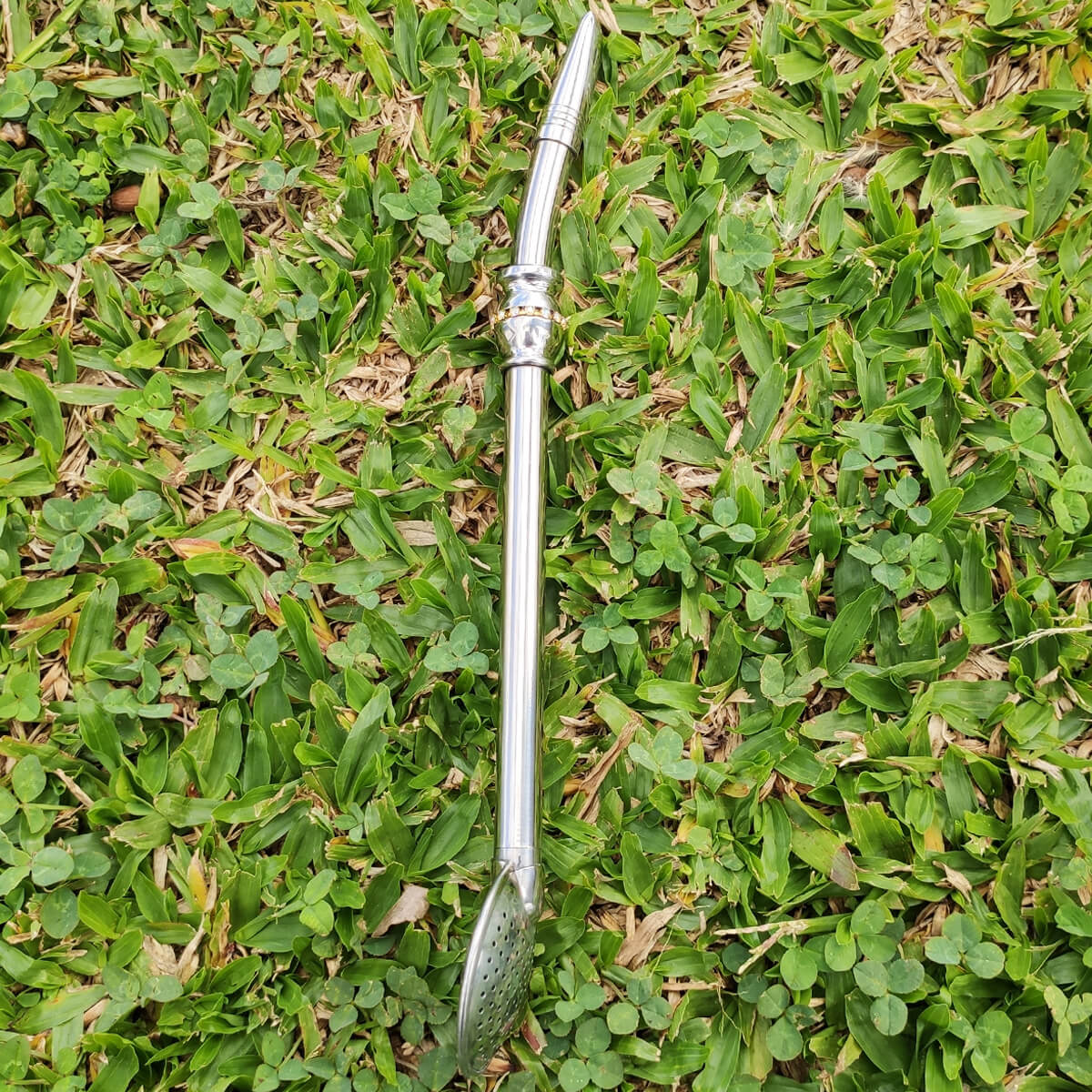 Bomba Chimarrão Inox Com Strass 23cm Bojo Tradicional Com Rosca