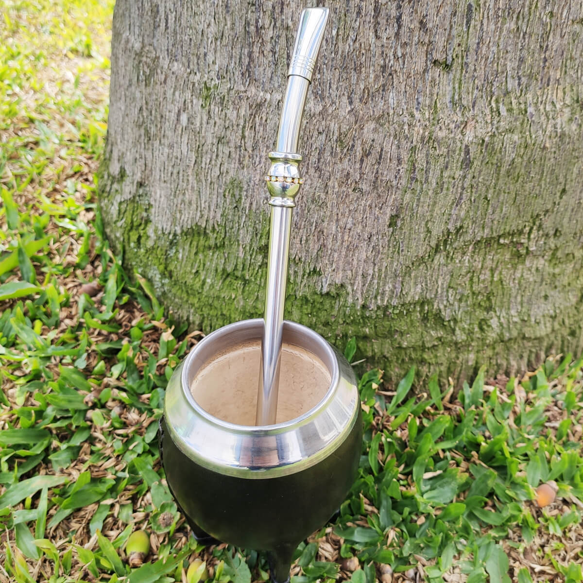 Bomba Chimarrão Inox Com Strass 23cm Bojo Tradicional Com Rosca