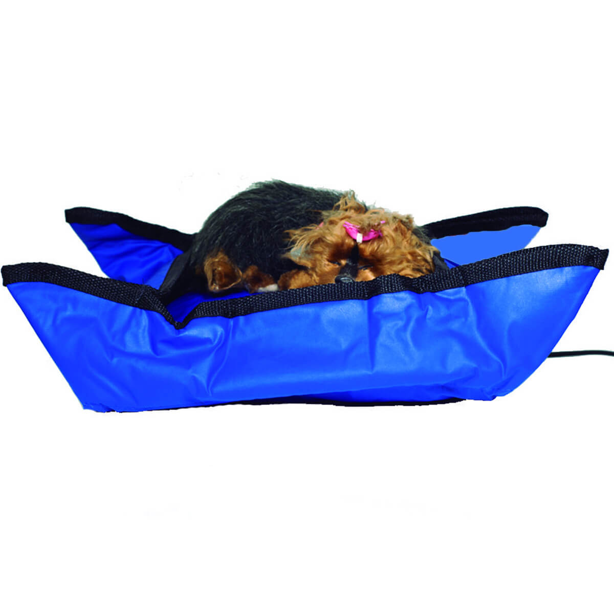 Cama Para Cachorro Gato Termo Pet 35cm X 35cm 220V Azul