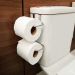Kit Banheiro Toalheiro 45cm Box Suporte Porta Papel Descarga