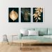 Quadros Folhas Folhagens Verde e Dourado M 3 Moldura Branca