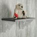 Par Mãos Francesas Ornamentada Lobo Branco Aço 20cm Industri