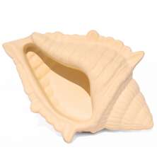 Porta Objetos Concha Oceano Grande Artesanal 17x11,5cm Em Resina Mineral - Palha