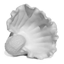 Porta Objetos Concha Pérola Grande Artesanal 13,5x6,5x13cm Em Resina Mineral - Branco