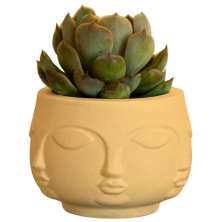 Vaso Decorativo Tarsila 10cm Artesanal Em Cimento - Amarelo