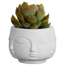 Vaso Decorativo Tarsila 10cm Artesanal Em Cimento - Branco