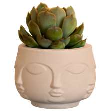 Vaso Decorativo Tarsila 10cm Artesanal Em Cimento - Palha