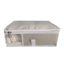 Organizador Guarda Roupa Tam P Nylon PVC Creme c/ zíper