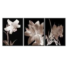 Kit com 3 Quadros Decorativos 70x50 cm Floral Romantico com Moldura Caixa Preta de trers centimetros de Profundidade, na posição Vertical ideal para ambiente de Sala, Quarto e Hall