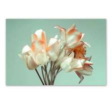 Quadro Decorativo Floral Fotografico Tulipa, Tela em Canvas na Horizontal ideal para ambiente de Sala de estar, jantar, reuniões, Quarto e Hall de entrada