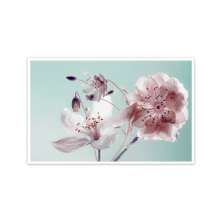 Quadro Decorativo Floral Fotografico com Moldura Caixa Branca, na posição Horizontal, ideal para ambiente de Sala, Quarto e Hall (100x70 cm)