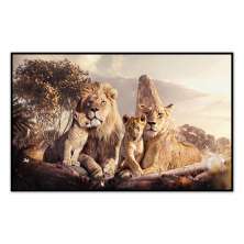 Quadro Decorativo Leão Natureza com Moldura Caixa de 3cm de Profundidade, na posição Horizontal, ideal para ambiente de Sala, Quarto e Hall de Entrada